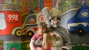 Filename=DSCN6227.JPG
Filesize=242KiB
Dimensions=1365x768
Date added=Apr 03, 2015 DSCN6227.JPG
